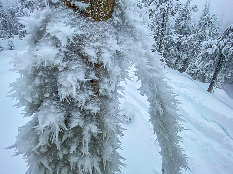 Rime needles