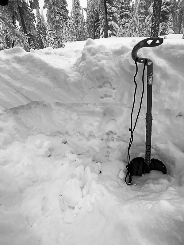 Snow pit, fist hard facets below 4 finger storm snow.