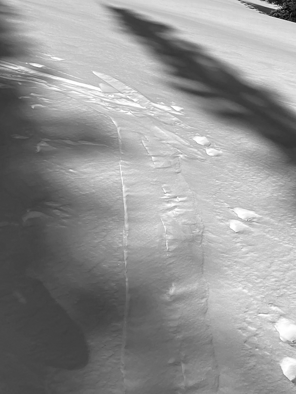 Wind blown snow in skin track