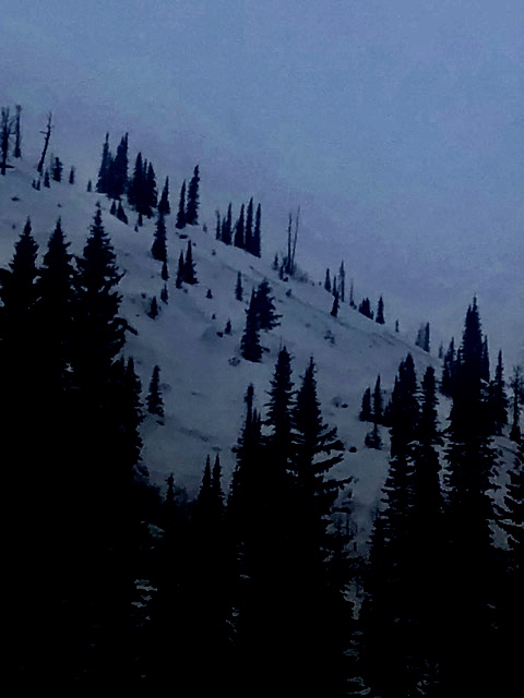 Above the Fisher creek road at 7100ft just to the North of Slab Butte 