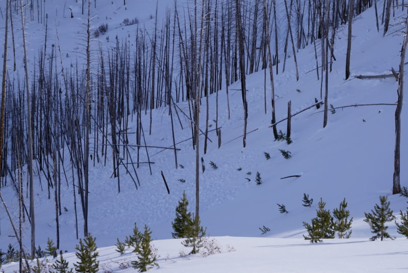 More debris in north aspects, likely from cornice breaking during 1/13 rain event.