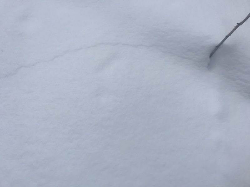 Cracking and collapsing of snow.