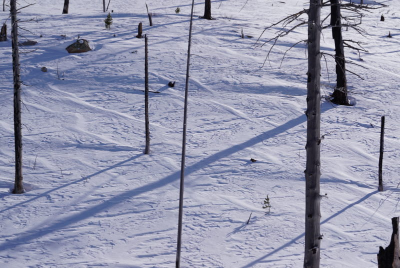 Wind affected snow.