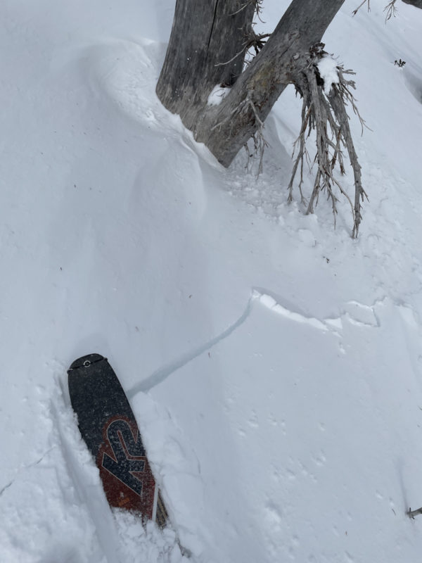 Cracking on a small sensitive wind slab from strong North winds and light snow 