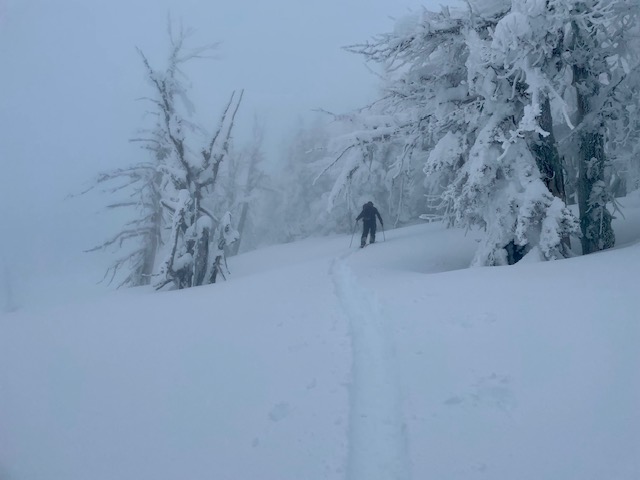 heavy rime on the trees and poor visibility up high