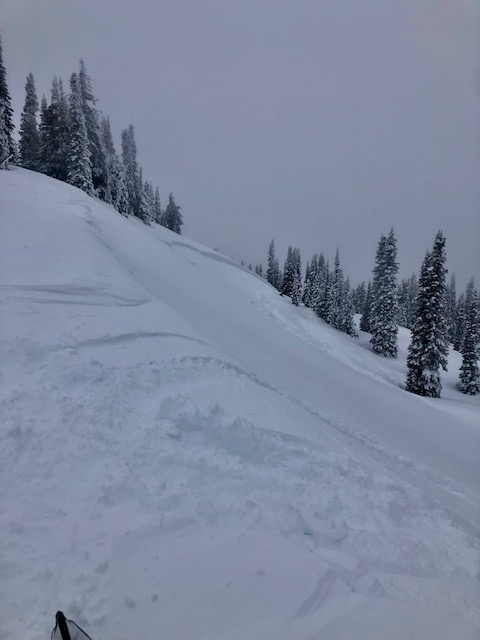 smaller of the 2 avalanches reported appeared to snowmobile triggered