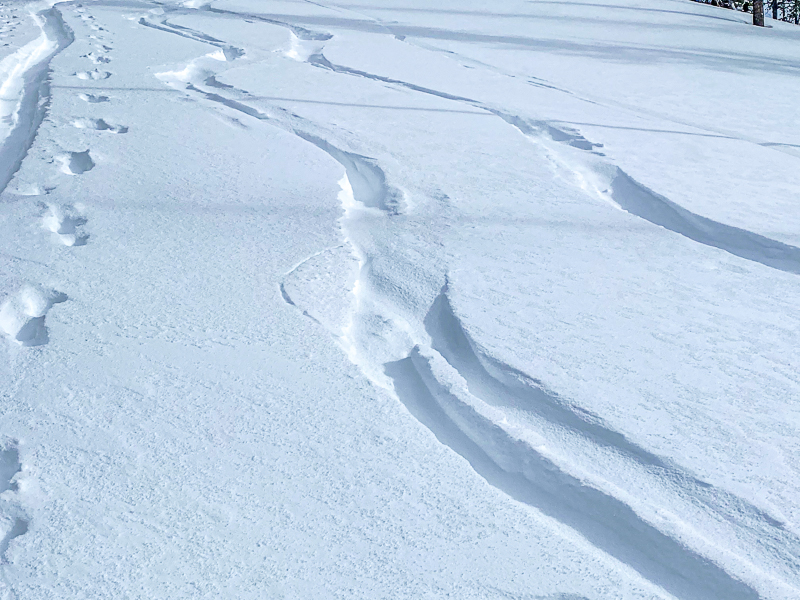 Blowing and drifting snow.