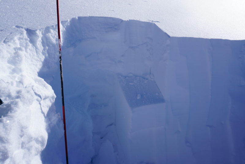 Snow pit photo showing layer of concern.