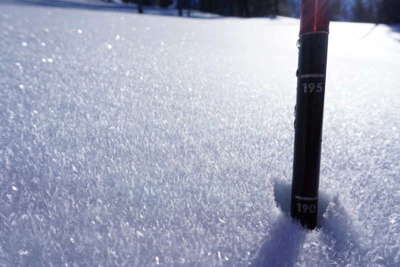 Surface hoar development with snow depth of 190 cms