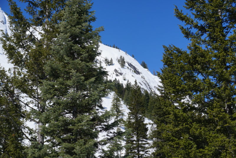 Another wet slab Avalanche on the peak to the north.