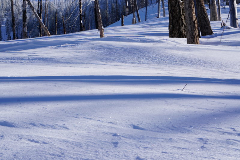 Wind affected terrain along ridges.