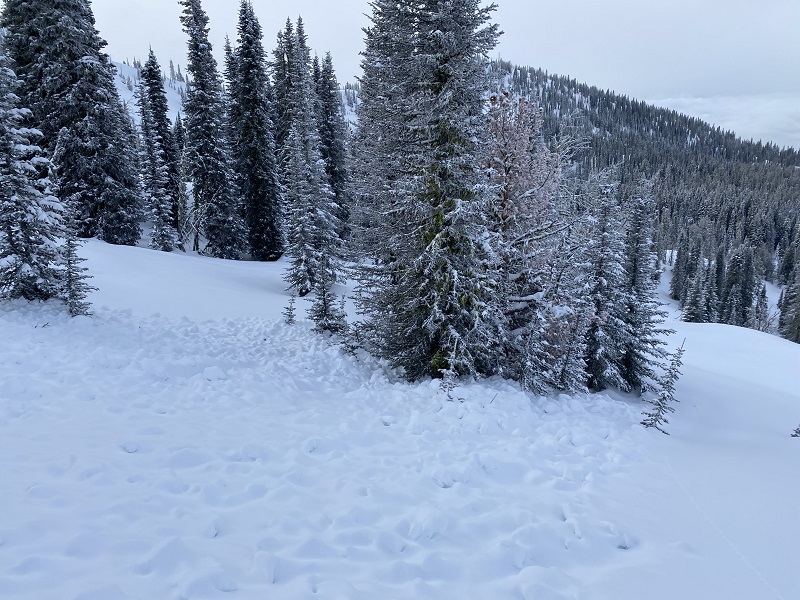 Debris pile, enough snow to knock you over and into a tree.