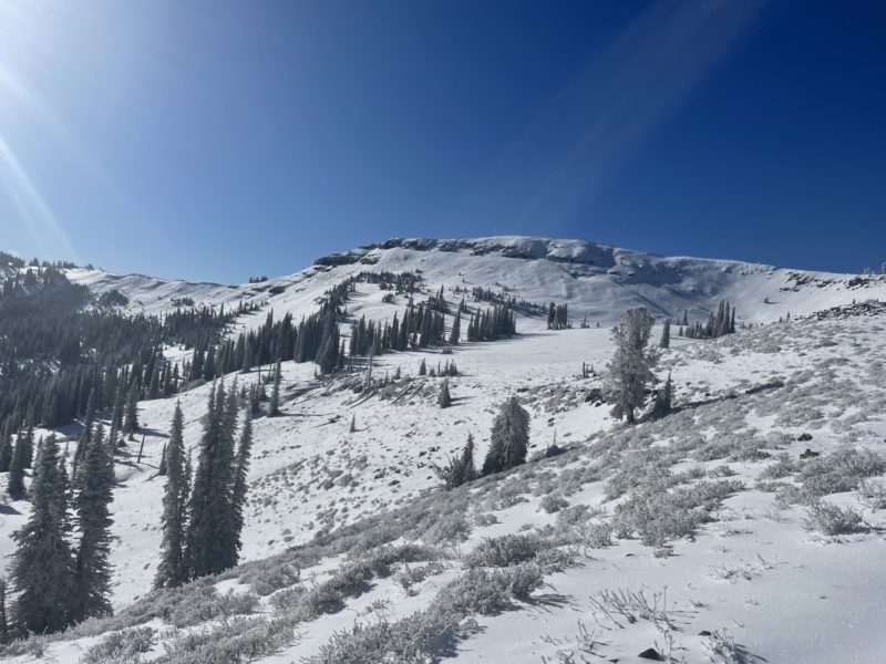 Sagebrush and thin conditions on southern aspects.  A deeper snowpack with rocks in the shady aspects.