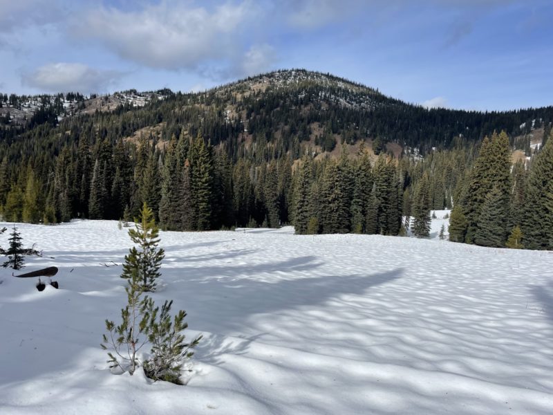 Snow depth (or lack of) south east side of Boulder mountain 11/5/21