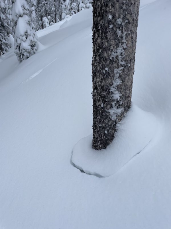Signs of settlement with the snowpack.
