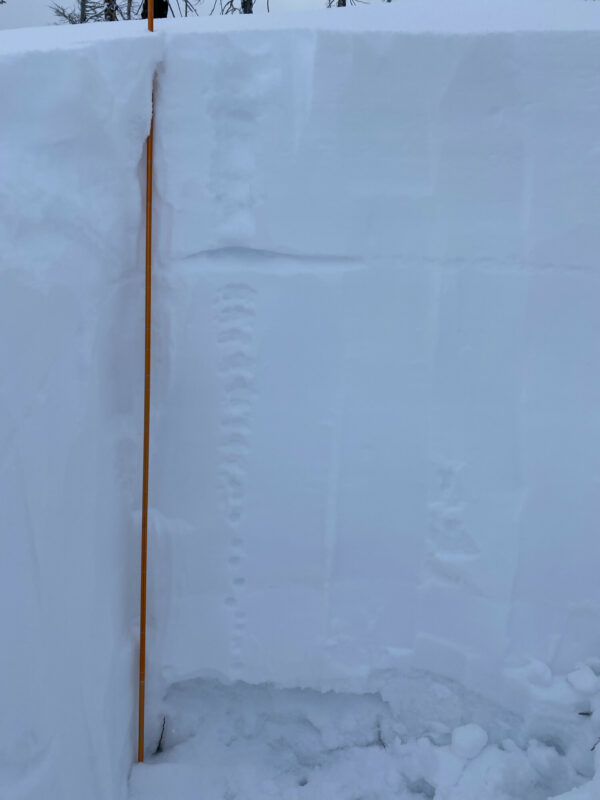 Pit Depth & Observations