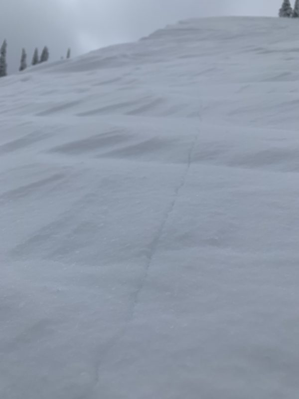 Photo of the crack. Look closely, you’ll see it.