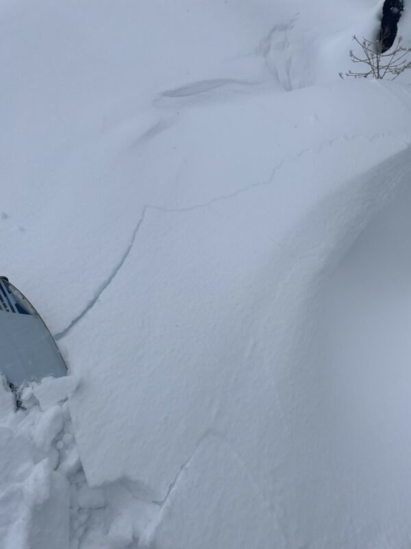 Small sensitive wind slabs on se aspects 