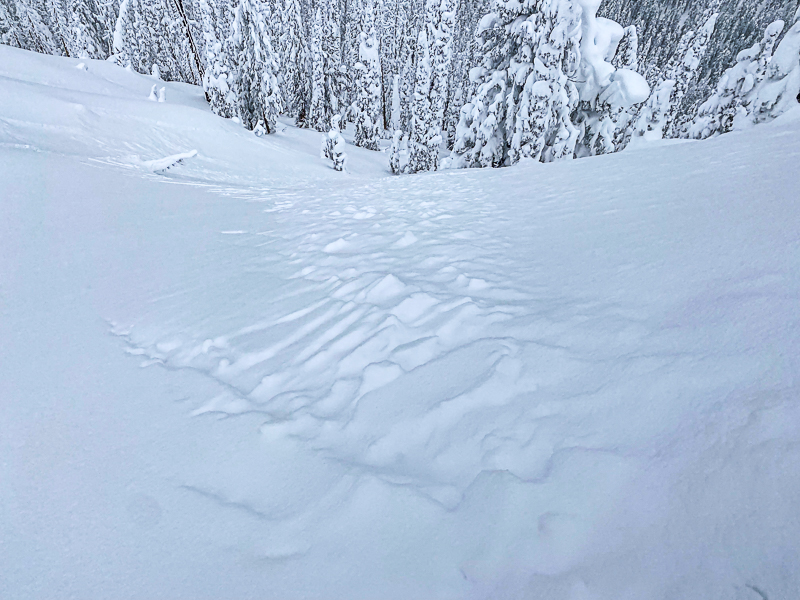 North facing into Six-Bit Creek, ran about 150 vertical feet.