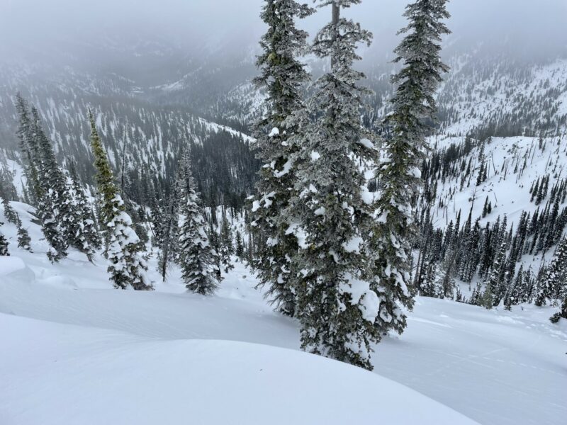 Looking down at a slide from Thursday/Friday Jan 6/7