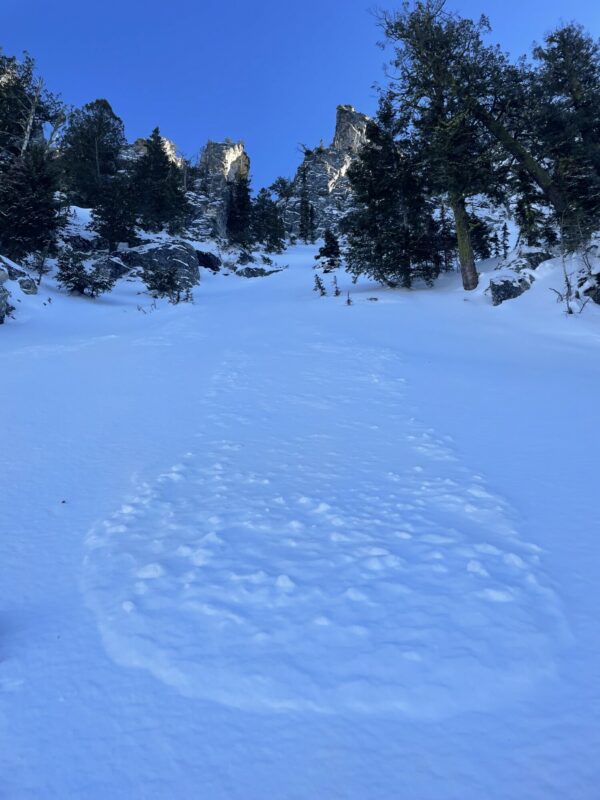 Natural New snow sluff from small storm. 