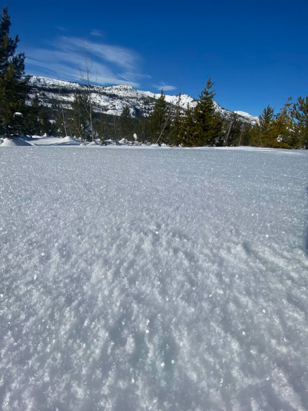 Surface hoar near Secesh Summit.