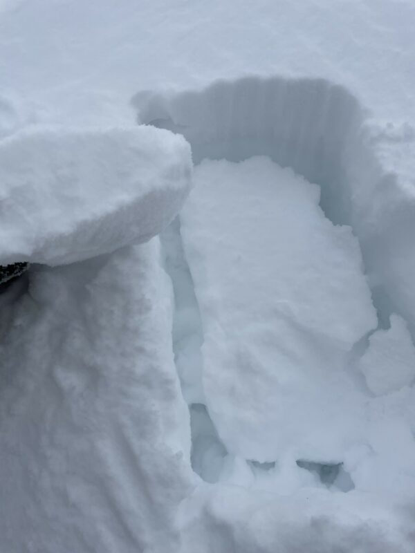 Fresh wind slab on a west aspect.
