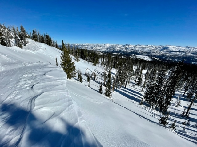 Looking North on Sgt's Ridge at the evidence on the cornice of South West winds etching the snow (called sastrugi) from bottom left to the upper right.