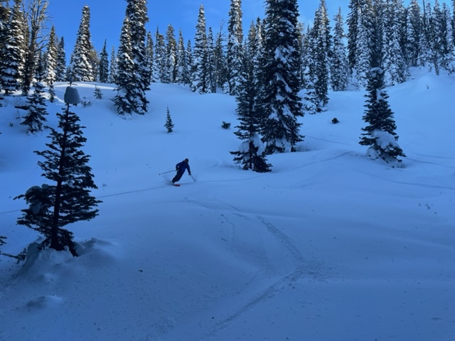 Good stability on a Soft Supprtable but denser Upside down layer of snow that formed under recent variable, brief North winds underneath this beautiful snow. Hard skiing could dive tips into the denser 6-inch slabby layer.