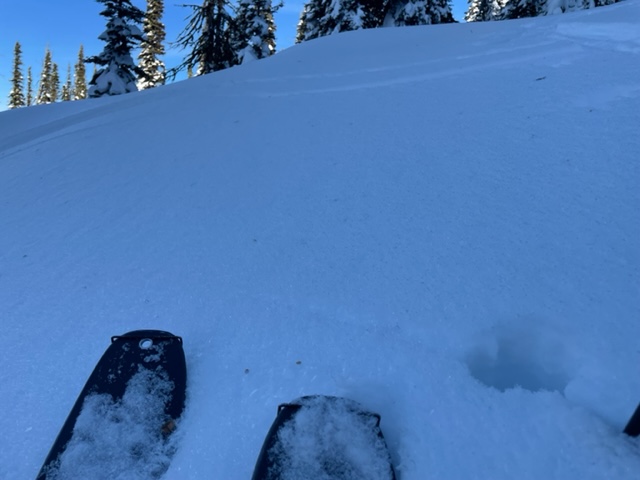 N aspect of Sgts, North of Brundage Mtn at 76000 FT still harboring surface hoar in this wind and sun protected pocket...something that may lead to future problems