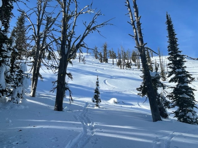Still cold, preserved good soft snow in areas that were protected from the wind and snow