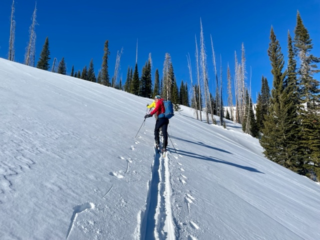 Soft snow in wind sheltered areas