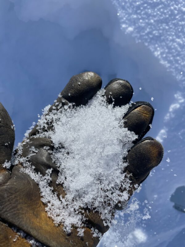 Weak sugary snow was common under crust.