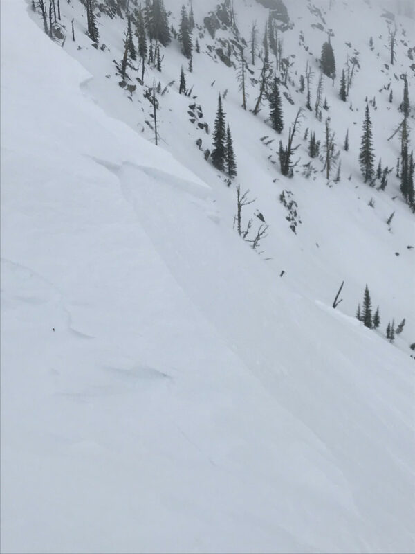Initial point of release with a crown depth of 5-8”.