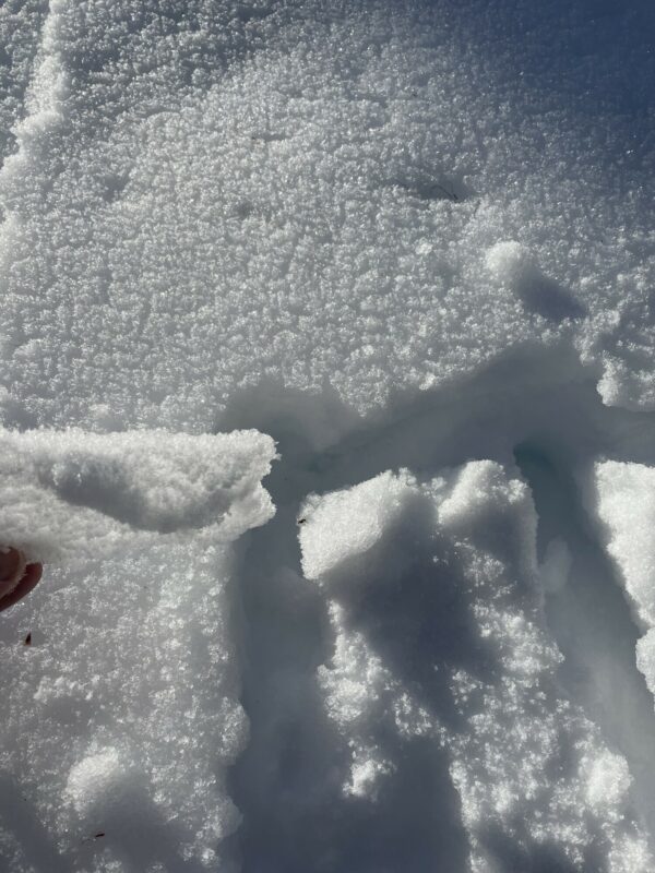 Crust at 6800’ on a north aspect.