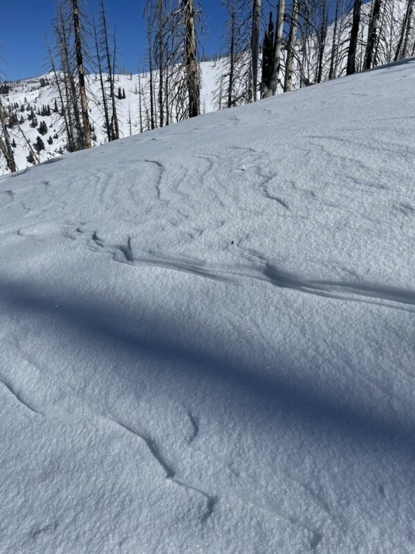 Fresh Wind slabs along the ridges.