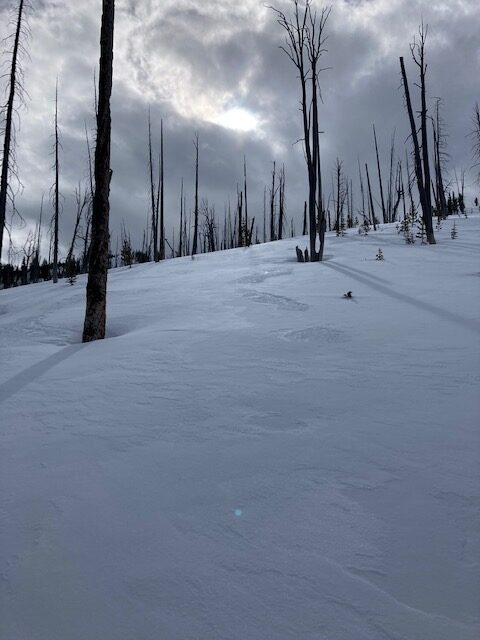 The thin snow surface crust(1/4 inch thick) on a North aspect of Diamond Ridge at 8,000 feet