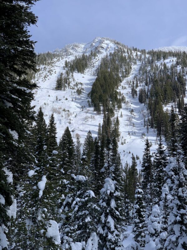 Looking back at our turns. How often have you looked at these chutes and said 