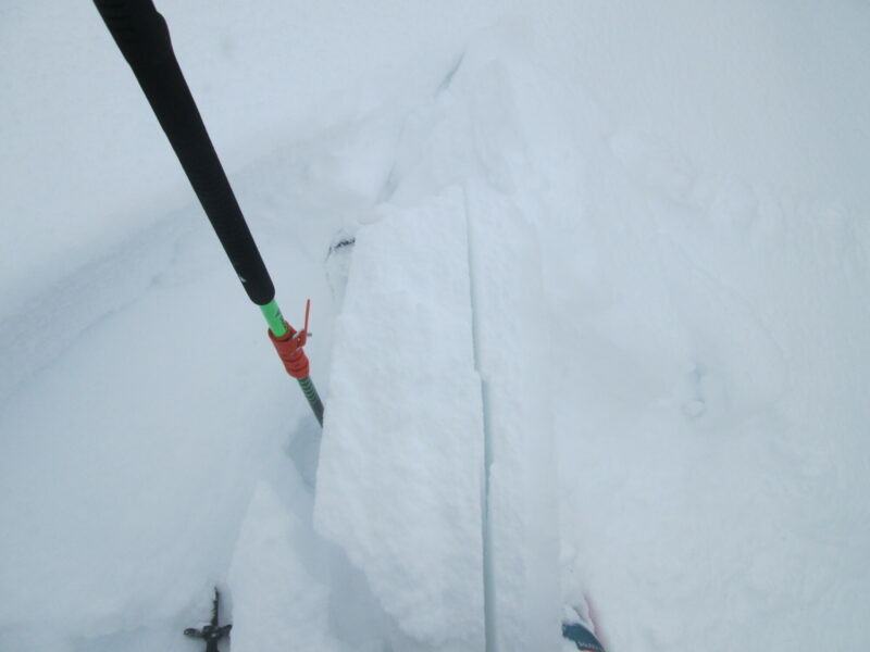 Wind slab, old snow/new snow interface