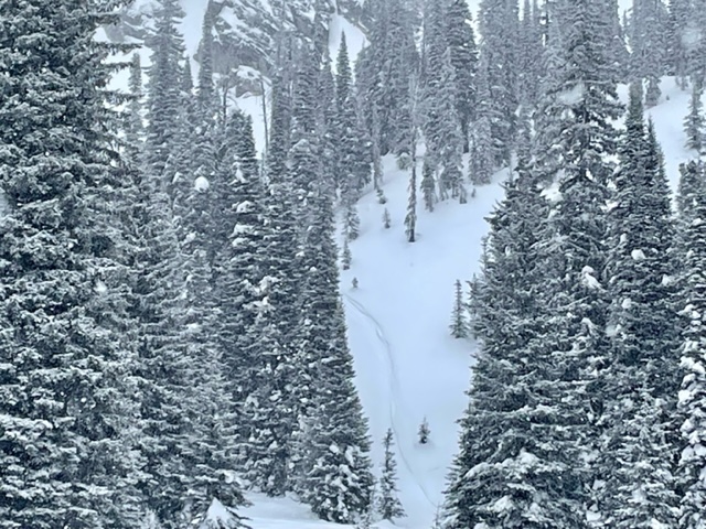 West aspect sled cut near Rapid lake 