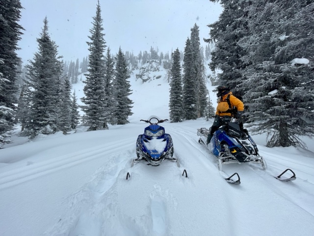 Good soft snow reset
