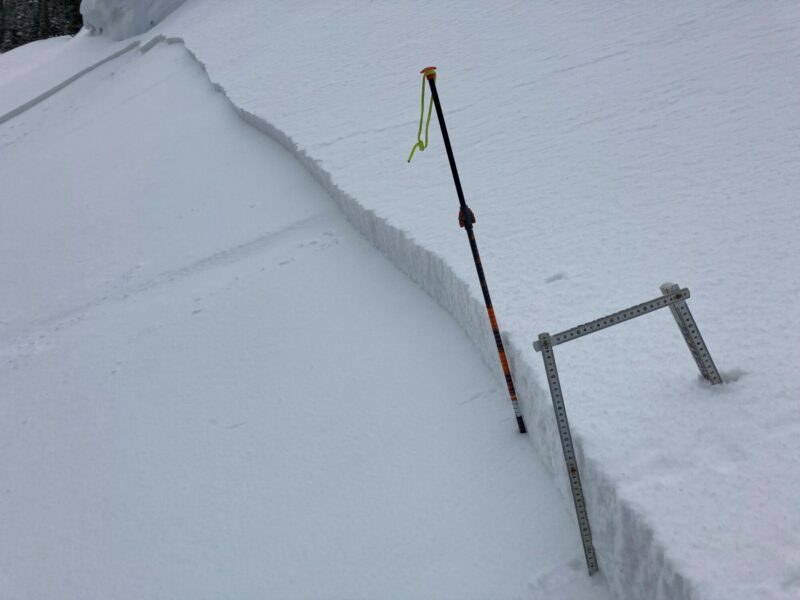 Crown of avalanche was 10