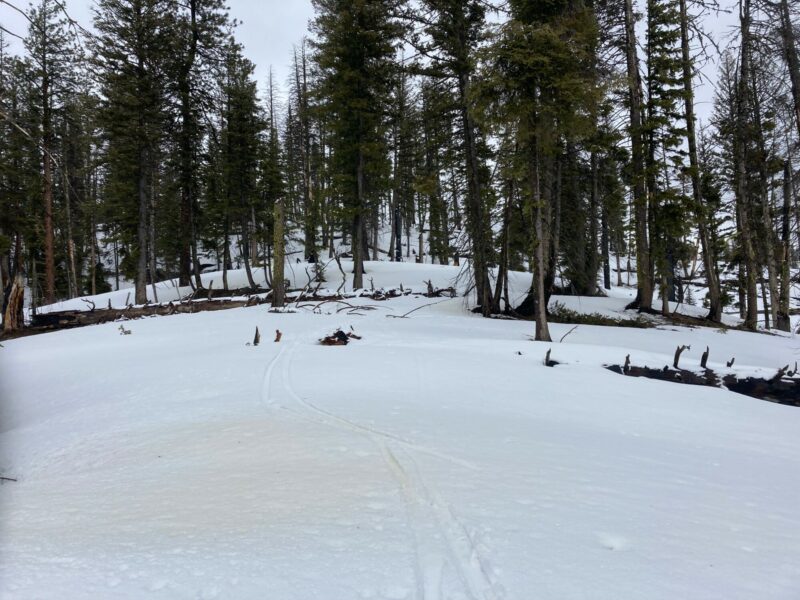 Thin and sticky conditions on the ski out