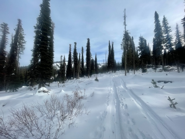 shallow snow  North of Brundage resort with lots of obstacles just below 7,000 feet
