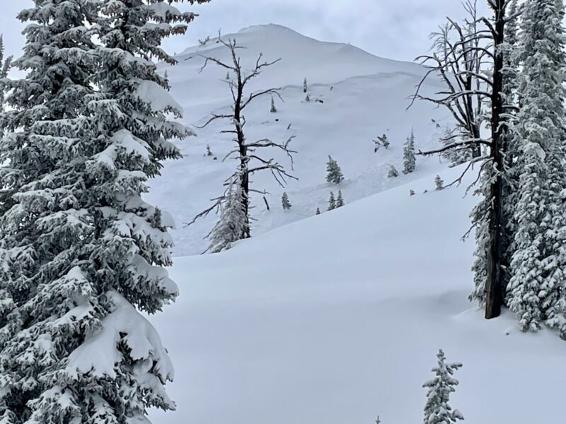 NE aspect just North of Slab Butte