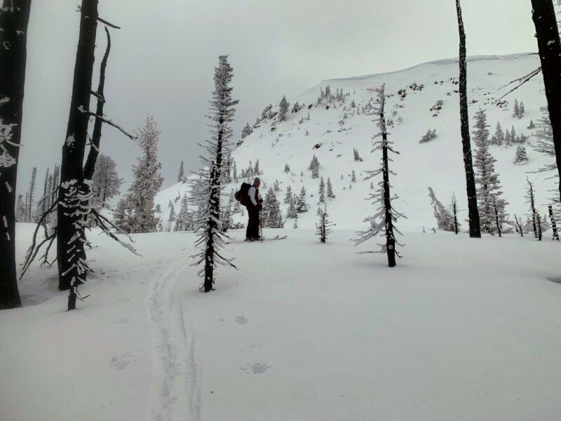 Moderate terrain that's below the runout of the steep slopes on top.
