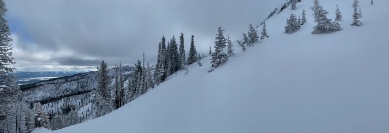 The East face of Lookout Mountain. 35-38 degrees. Ends in cliff bands with a few couloir terrain traps. We stayed off of it today.