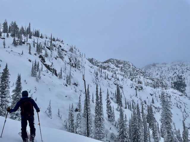 Old crowns still visible fro Early Dec Natural avalanche cycle
