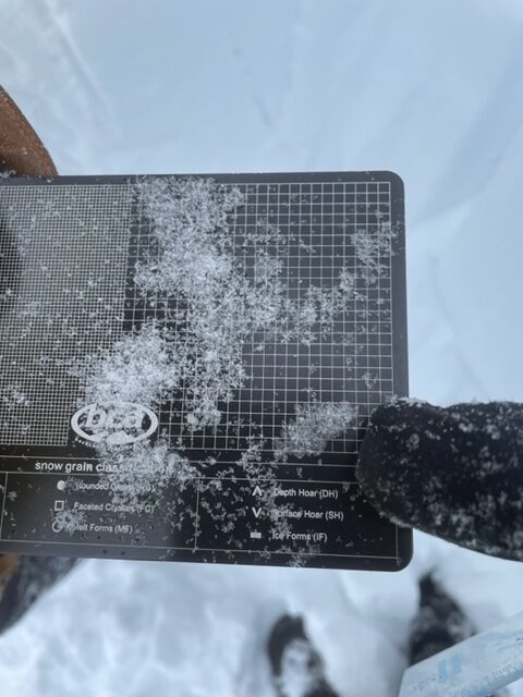 Buried Surface Hoar that formed 10 days ago on West Mountain just North of Tamarack Ski Resort at around 7200 feet.