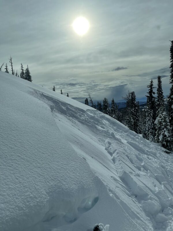 Notice where the snowmobile tracks are.